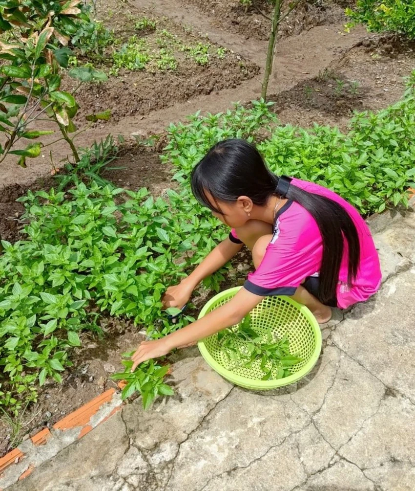 duong-den-truong-co-hoa-se-duoc-dong-phat-song-tren-nhieu-kenh-giao-duc.jpg