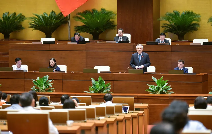 Chánh án Nguyễn Hòa Bình: 'Phá siêu thị, đập vỡ cửa kính xe là phạm tội nhưng các cháu xin lỗi, bồi thường là xong'