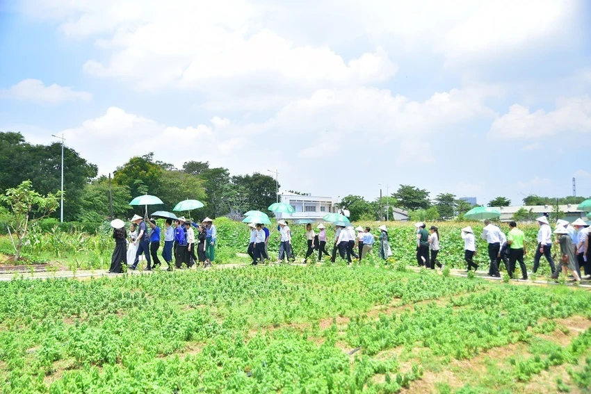 Mô hình này góp phần giảm thiểu hơn 30 triệu kg phát thải CO2. Ảnh: UAF thuc-pham-1.jpg