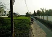 Lại tung tin Đà Nẵng sáp nhập thêm thị xã để thổi giá đất ảnh 3 Vụ cò đất tung tin Đà Nẵng lập quận mới: Sở Nội vụ lên tiếng