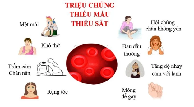 Dấu hiệu nhận biết cơ thể bị thiếu máu, thiếu sắt