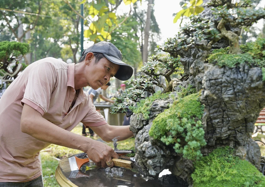 Anh Quốc Kiệt, chủ nhà vườn tại tỉnh Bình Dương đang chăm sóc tiểu cảnh của gia đình. Năm nay cũng như nhiều nhà vườn tại TP.HCM và các tỉnh lân cận, gia đình anh mang sản phẩm đến trưng bày và dự thi. Hoi-hoa-xuan-at-ty (7).JPG