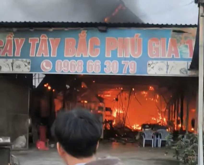 Theo thông tin ban đầu, thời điểm trên ngọn lửa cháy ở khu vực gần cuối quán, sau đó lan rộng ra một số khu vực khác của quán. Lúc này quán chưa có khách, chủ quán đang chuẩn bị bày bàn đón khách. thịt chó 4.jpg