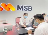 MSB đặt mục tiêu lãi 6.800 tỉ đồng trong năm nay ảnh 1 MSB rục rịch bán công ty con cho nhà đầu tư ngoại