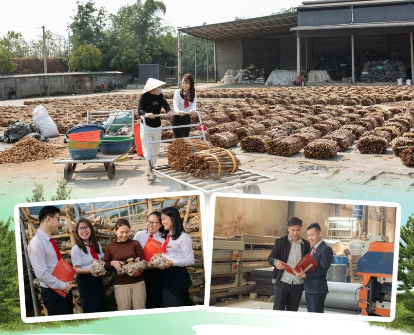 Agribank là một trong những ngân hàng tập trung đẩy mạnh vốn xanh. Ảnh minh họa tin-dung-xanh-2.png