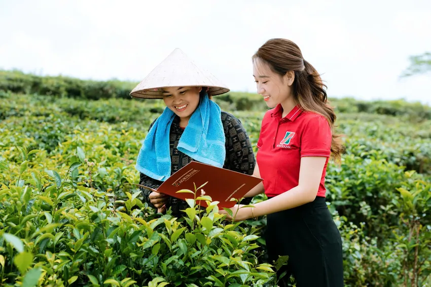 tin-dung-xanh.jpg