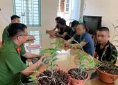 Có nên thành lập lực lượng 'công an xung phong'? ảnh 2 Công an cảnh báo nguy cơ 'sập bẫy' hoa lan đột biến gen