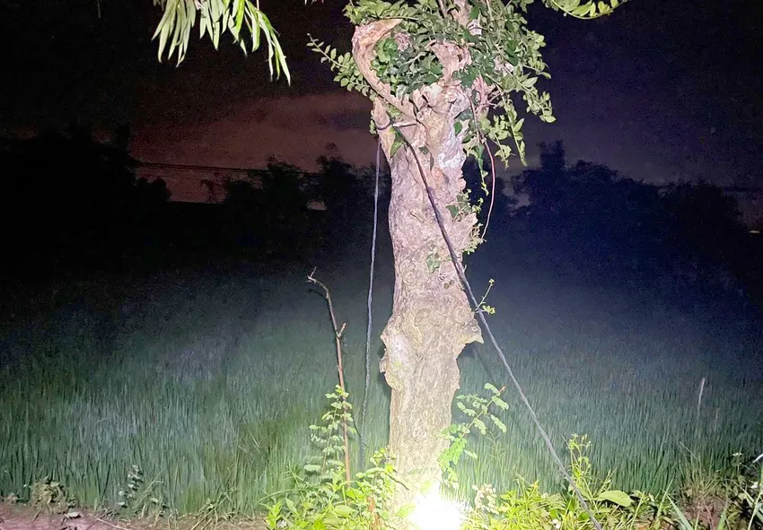 Hai người đàn ông tử vong nghi do bị điện giật. Bay-chuot-hai-nguoi-tu-vong-1.jpg