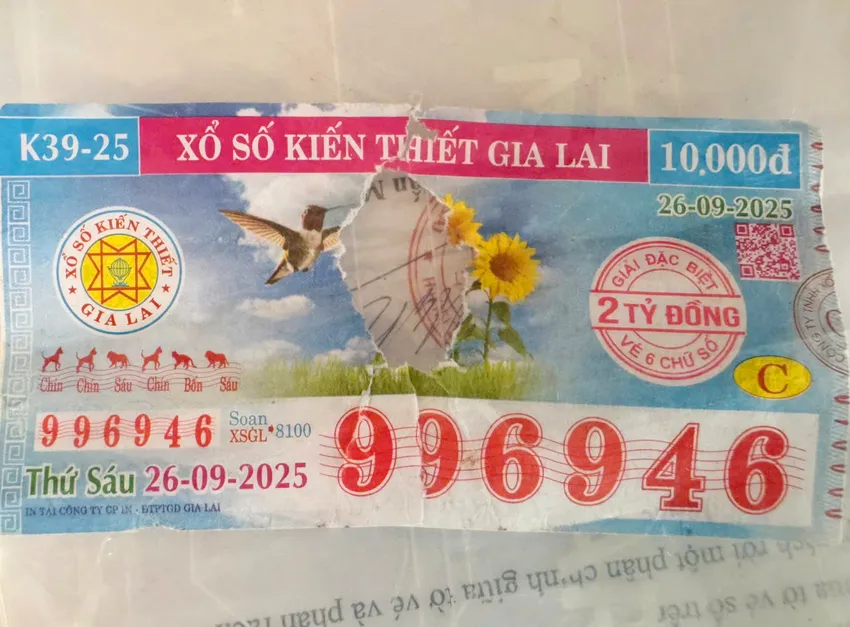 Tờ vé số trúng giải đặc biệt bị rách, mất một phần. Ảnh: NY. Lãnh đạo Công ty TNHH Xổ số kiến thiết Gia Lai, cho biết sẽ giải quyết đúng quy định và đảm bảo quyền lợi tối đa cho khách hàng trúng giải đặc biệt.