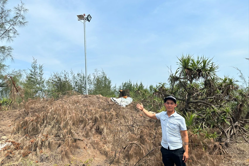 Xung quanh cây dương liễu, người dân chôn cất nhiều xác cá Ông. Ảnh: TN cay-duong-mot-bi-cua-ha-2.JPG
