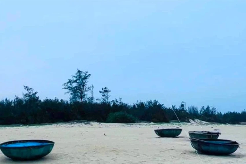 Cây dương liễu (cao nhất) là nơi tàu thuyền định vị cho những chuyến ra khơi. Ảnh: NDCC cay-duong-mot-bi-cua-ha-5.jpeg