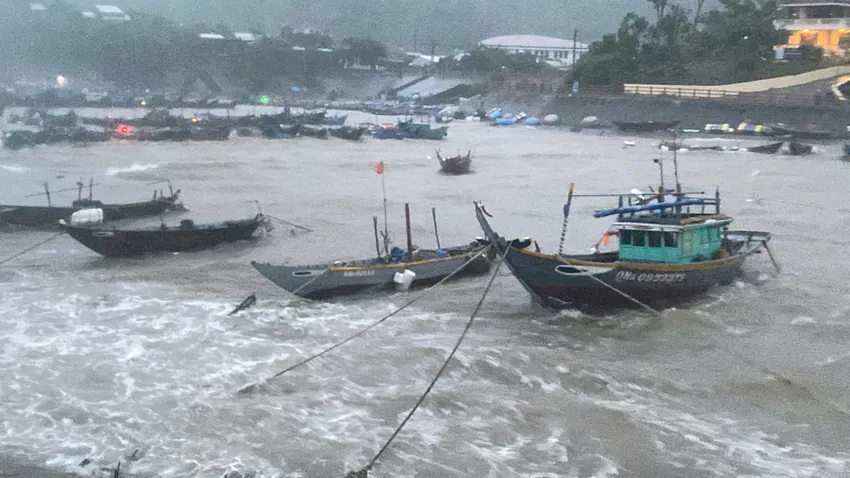 Bão Trà Mi áp sát đất liền, đảo Cù Lao Chàm có gió cấp 8-9. Ảnh: CTV Bão Trà Mi áp sát đất liền, đảo Cù Lao Chàm có gió cấp 8-9. Ảnh: CTV