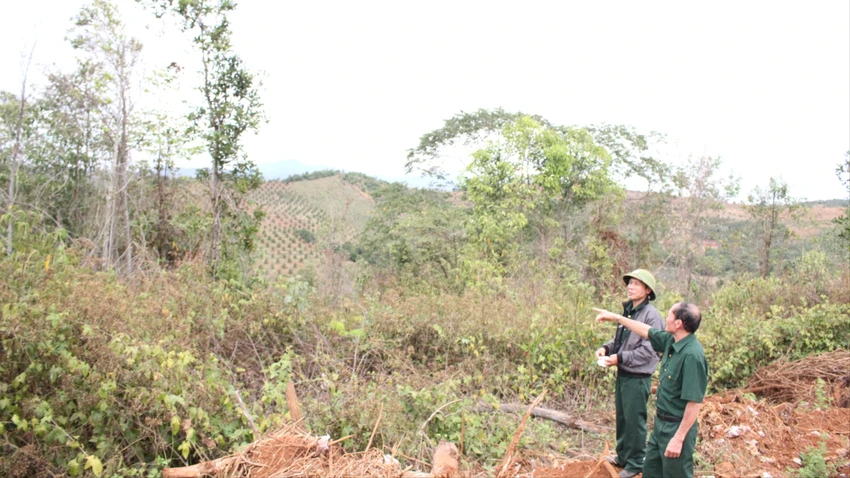 cựu chiến binh 22.JPG