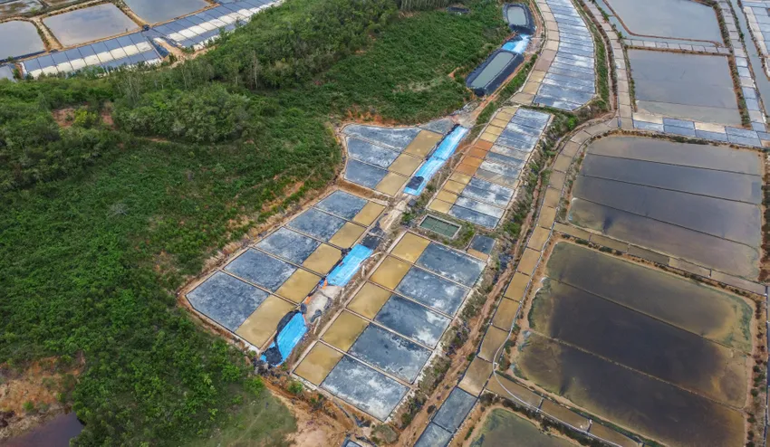 Khu ruộng sản xuất muối sạch công nghệ cao tại xã Ninh Thọ, thị xã Ninh Hòa. Ảnh: XUÂN HOÁT 5.jpg