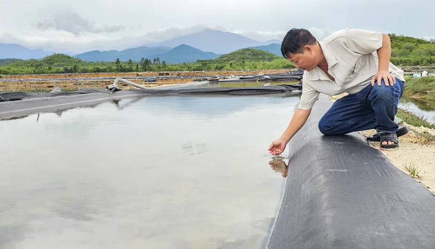 Diêm dân đã đầu tư khá lớn trên cánh đồng sản xuất muối sạch công nghệ cao. Ảnh: XUÂN HOÁT bồi thường tiền tỉ.jpg