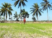 Kiên Giang: Tăng cường ứng phó với xâm nhập mặn gia tăng ảnh 1 Thủy điện Trung Quốc giảm xả nước có ảnh hưởng đến ĐBSCL?