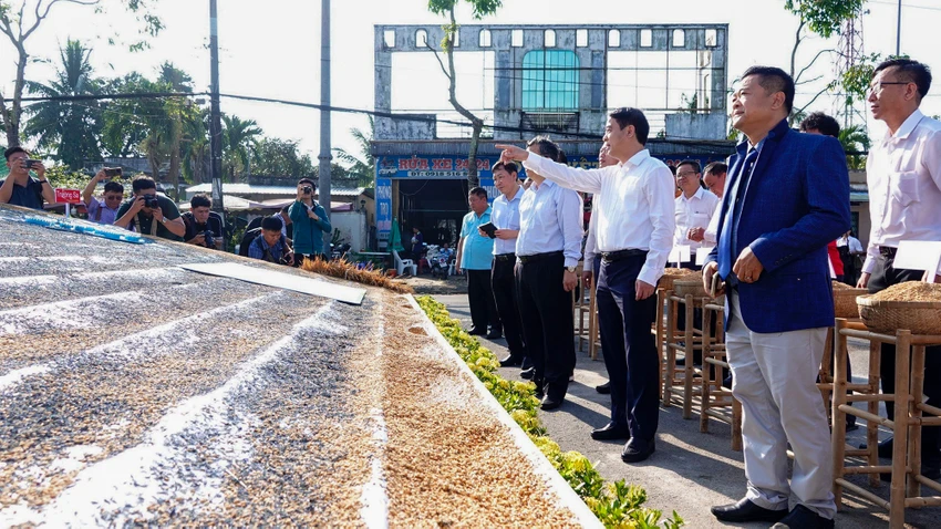 Đại biểu tham quan, thưởng lãm bản đồ Việt Nam tạo ra bằng cách ghép giống lúa của 63 tỉnh, TP. Ảnh: ET con-duong-lua-gao-viet-nam-3.jpg