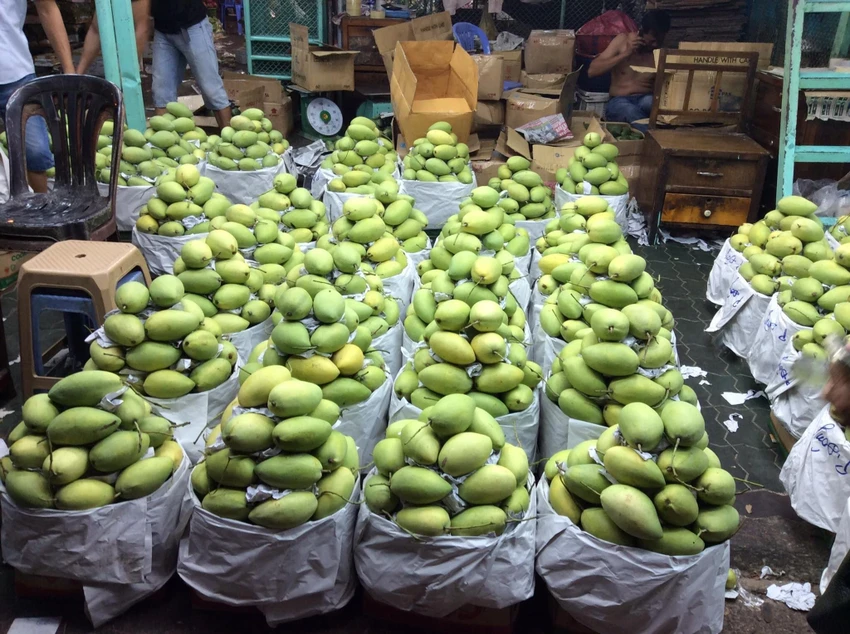 Trung Quốc là thị trường tiêu thụ lớn nhất trái cây Việt Nam, trong đó có xoài. Ảnh: AH bộ công thương.jpg