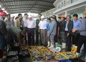 Đà Nẵng xác nhận 27 cơ sở cung ứng thực phẩm an toàn ảnh 3 Ban Quản lý an toàn thực phẩm: Vẫn chủ yếu đi phạt