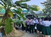 F0 tăng nhanh, trường học gồng mình ứng phó ảnh 2 Những tiết học đặc biệt: Đi khắp sân trường để học bài