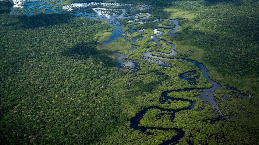 Rừng Amazon tại bang Amazonas (Brazil). Amazon có vai trò quan trọng trong việc chuyển hóa khí gây hiệu ứng nhà kính, góp phần chống biến đổi khí hậu. Ảnh: GETTY IMAGES 231110101359-brazil-amazon-rainforest-061022-7913.jpg
