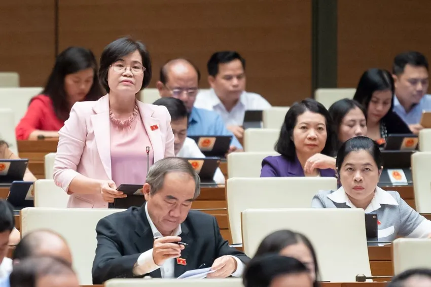 ĐB Nguyễn Thị Hồng Hạnh phát biểu về rà soát pháp luật và công tác pháp chế chiều 1-11 tại Quốc hội. Ảnh: QH nguyen-thi-hong-hanh.jpg