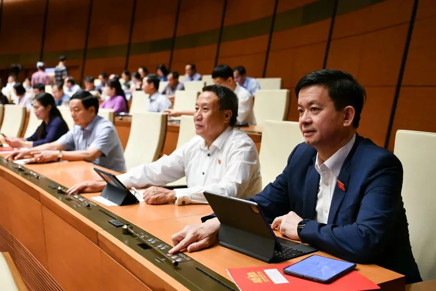 luat-to-chuc-tand-thumb.jpg