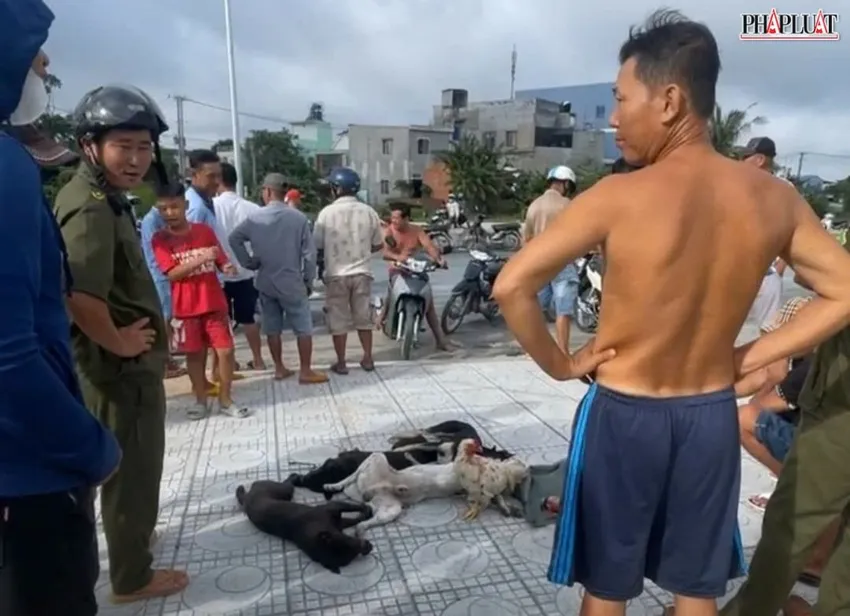 Tang vật do hai tên trộm chó bỏ lại để tẩu thoát. Ảnh: NDCC hai tên trộm chó .jpg