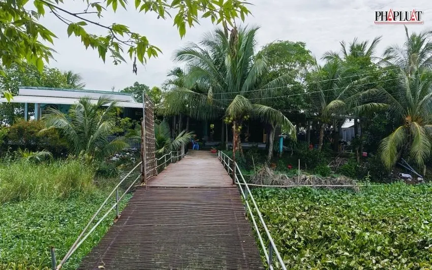 người đàn ông.jpg