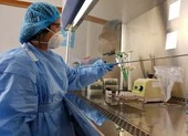 TP.HCM: Cách ly 3 người nhập cảnh từ tâm dịch Daegu ảnh 2 Cụ bà bị sốt sau quá cảnh tại Hàn Quốc âm tính với COVID-19