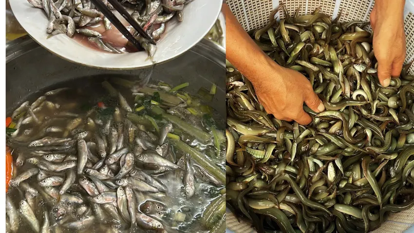 Các đặc sản mùa nước nổi, đặc biệt là cá linh (trái) mua-nuoc-noi-du-lich-dong-thap-11.JPG