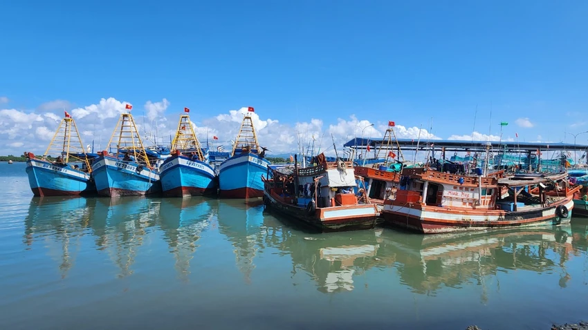 Đoàn kiểm tra yêu cầu tỉnh rà soát, kiểm tra chặt chẽ các tàu cá xuất/vào bến, lên xuống hàng hóa. Ảnh tàu cá đang neo đậu tại cảng Cát Lở, Vũng Tàu: TK Đoàn kiểm tra của Bộ NN&PTNT làm việc tại Bà Rịa-Vũng Tàu