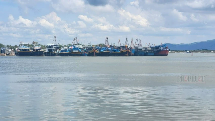 Các tàu cá vi phạm quy định về hệ thống giám sát hành trình khi bị phát hiện được đưa về neo đậu tại cảng Hưng Thái để chờ điều tra, xử lý. Ảnh: TK Bà Rịa- Vũng Tàu nêu tiến độ xử lý 4 vụ án vi phạm về hệ thống giám sát hành trình tàu cá