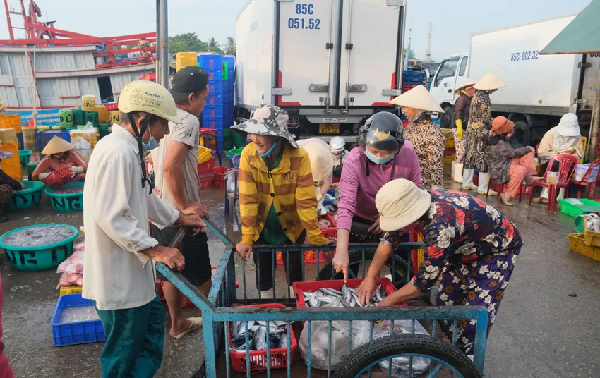 Hải sản sau khi đánh bắt được đưa lên bờ và vận chuyển xe đông lạnh để đưa đi tiêu thụ. Ảnh PV