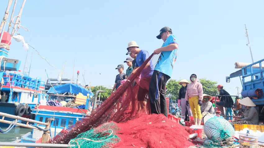 Bà con ngư dân tỉnh Ninh Thuận kéo lưới thu hoạch cá sau chuyến đi biển. Ảnh: PV