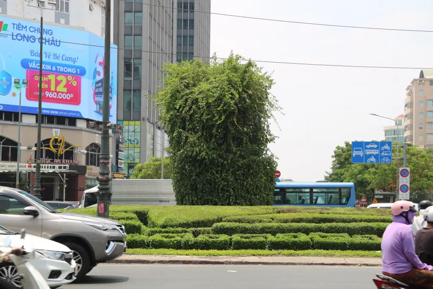 Vòng xoay Ngã sáu Cộng Hòa được trang trí bằng các loại cây xanh. vong-xoay-4.jpg