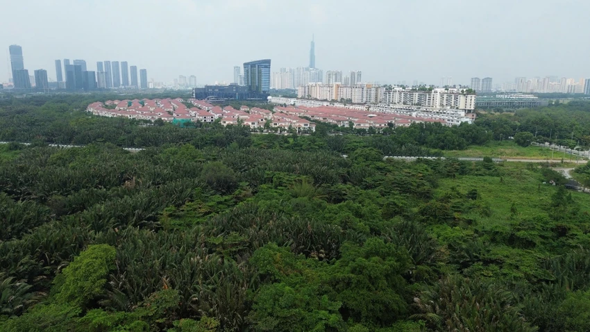TP.HCM vẫn còn thiếu công viên, thiếu mảng xanh. Ảnh: Như Ngọc thieu-cong-vien-2.jpg