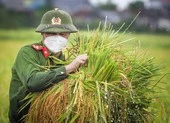 Khu cách ly tuyệt đối không giao nhận trực tiếp, luôn tuân thủ 2m ảnh 13 Chiến sĩ công an Yên Dũng giúp người dân bị cách ly gặt lúa