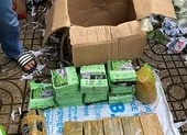 'Nữ quái' đổi chỗ ở 1 tuần/lần để giao dịch ma túy hơn nửa tỉ ảnh 3 Thu gần 50 kg ma túy trong nhà của nhóm tội phạm ở Gò Vấp