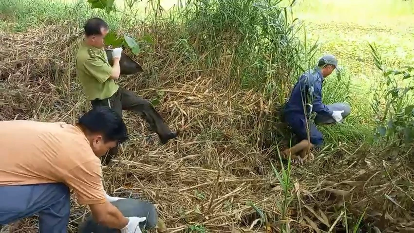 Các động vật hoang dã này trước đó được Chi cục Kiểm lâm TP.HCM tiếp nhận từ người dân. Ảnh: HT tha-tran-dat-hon-nua-ta-cung-23-dong-vat-hoang-da-ve-rung-u-minh-3.jpg