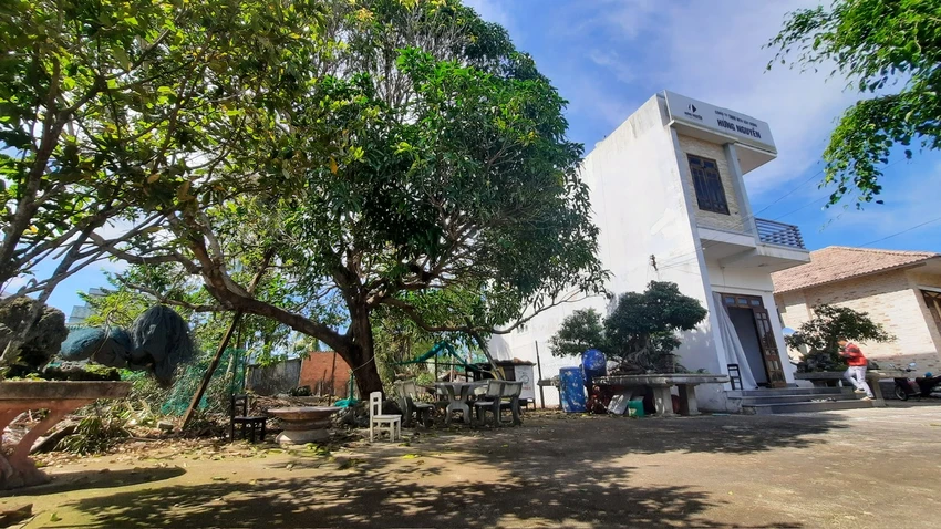 Thửa đất và tài sản gắn liền liên quan đến vụ việc chấp hành viên ở Quảng Ngãi vi phạm pháp luật trong thi hành án. Ảnh: ĐX Đình chỉ chức vụ một chấp hành viên ở Quảng Ngãi vi phạm pháp luật trong thi hành án