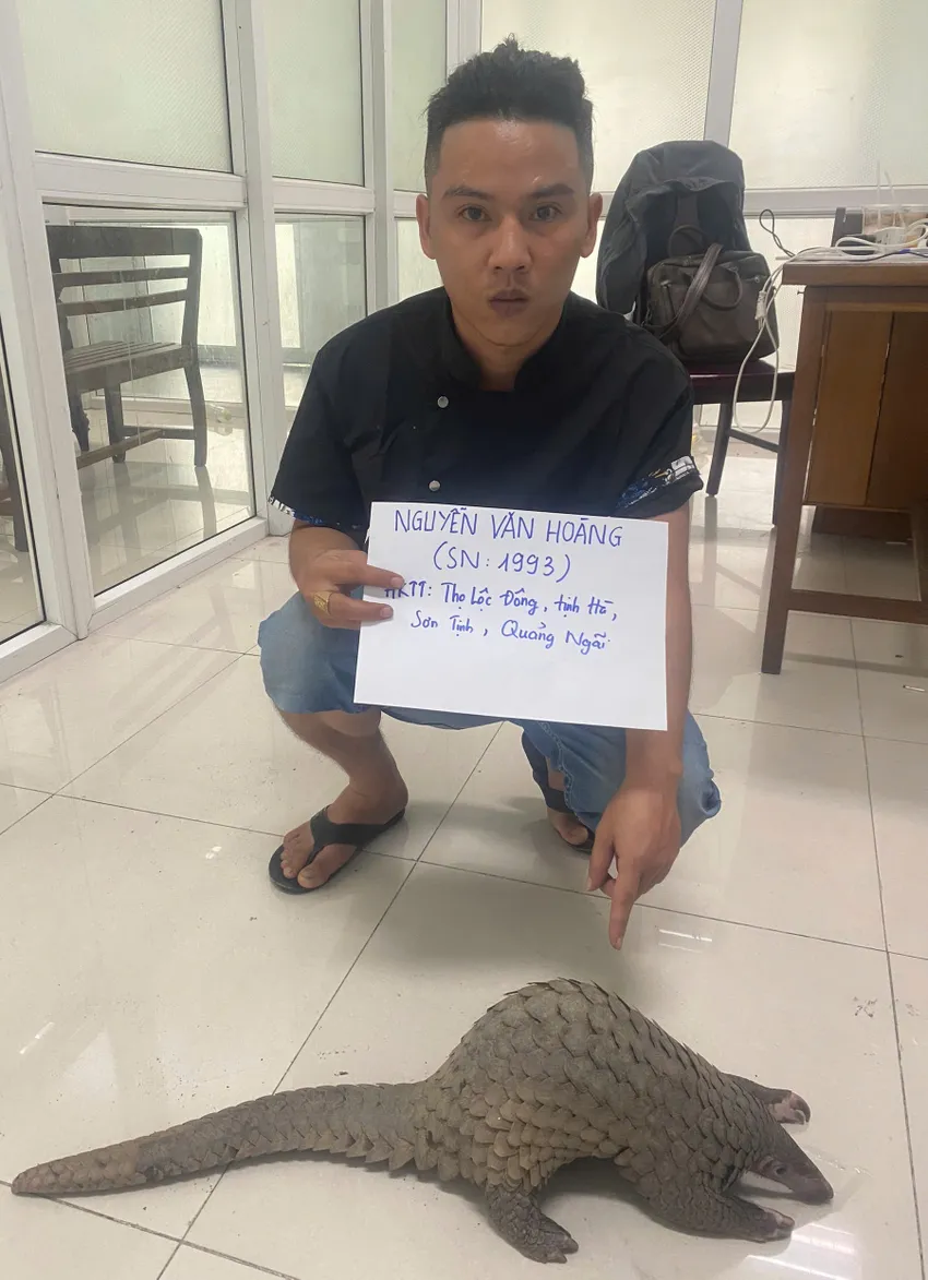 Hoàng đặt mua Tê tê Java để về nấu cho thực khách. tê tê java