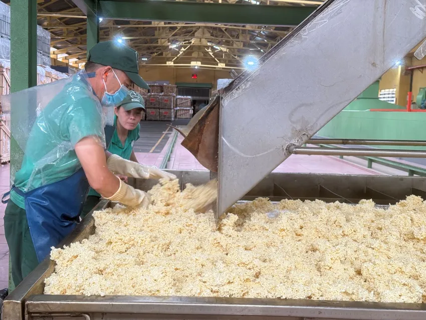 Việt Nam sẽ sớm trở thành trung tâm khu vực về các sản phẩm cao su chất lượng cao và bền vững. Ảnh: PM hinh 5 2 2.jpg