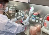 WHO phát động chương trình cung cấp thuốc trị COVID-19 giá 10 USD/liệu trình ảnh 5 Thuốc đặc trị COVID-19: Bắt đầu nóng cuộc đua đặt hàng dù thuốc chưa xuất hiện