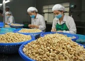 Thủ tướng chỉ đạo khẩn vụ nguy cơ bị lừa hàng trăm tỉ ảnh 2 Nguy cơ bị lừa cả trăm triệu USD, hàng loạt công ty Việt kêu cứu