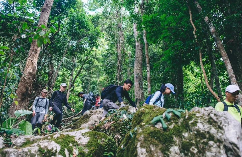 Du khách có xu hướng tìm đến những địa điểm có khí hậu mát mẻ. Ảnh: Bảo Thiên du-lich-2025-xanh-h-bao-thien.jpg