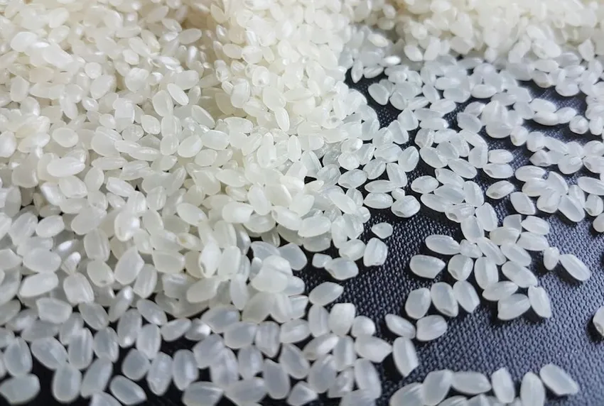 Japonica là loại gạo được người tiêu dùng ưa chuộng, rất khó trồng ở Việt Nam. Ảnh: QH gao-japonica.jpeg