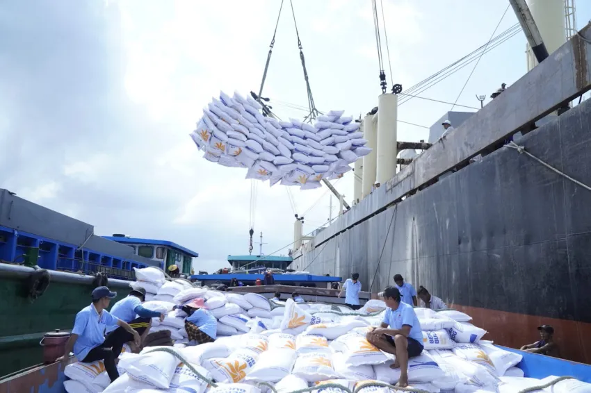 Gạo Việt Nam khó vào thị trường Nhật vì hàng rào tiêu chuẩn khắt khe. Ảnh: QH gao-viet-nam-xk8.jpg