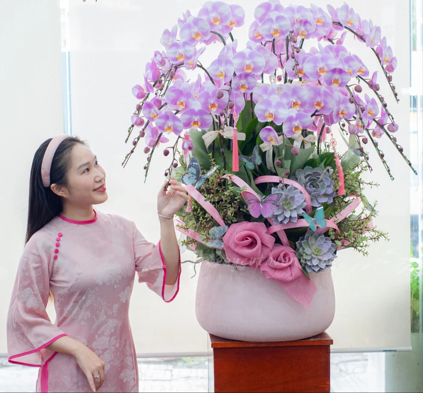 Lan hồ điệp dạng chậu được ưa chuộng trong dịp Tết 2025. ẢNH: THÁI DƯƠNG lan-ho-diep_1.jpg