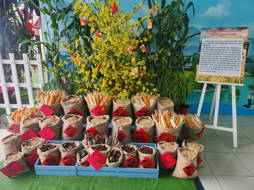 Không gian trưng bày hạt lúa, ngô tại trường mang đến sự gần gũi, dân dã của vùng quê. Ảnh: NGUYỄN QUYÊN 860c0abe4cdef380aacf.jpg